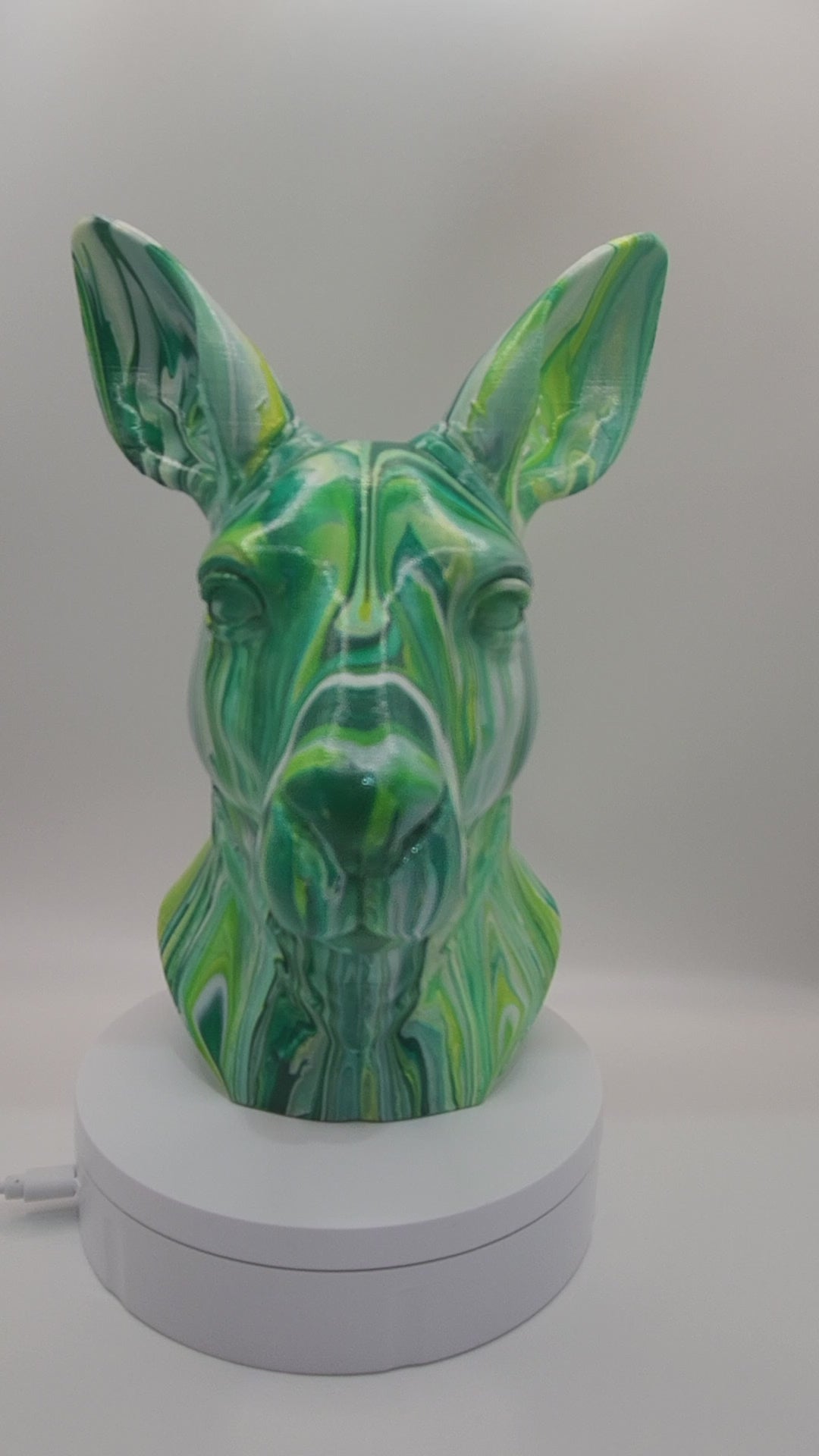 Kangaroo
