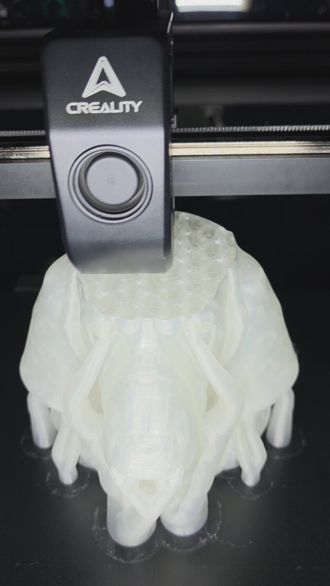 Bloodhound