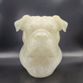Bulldog