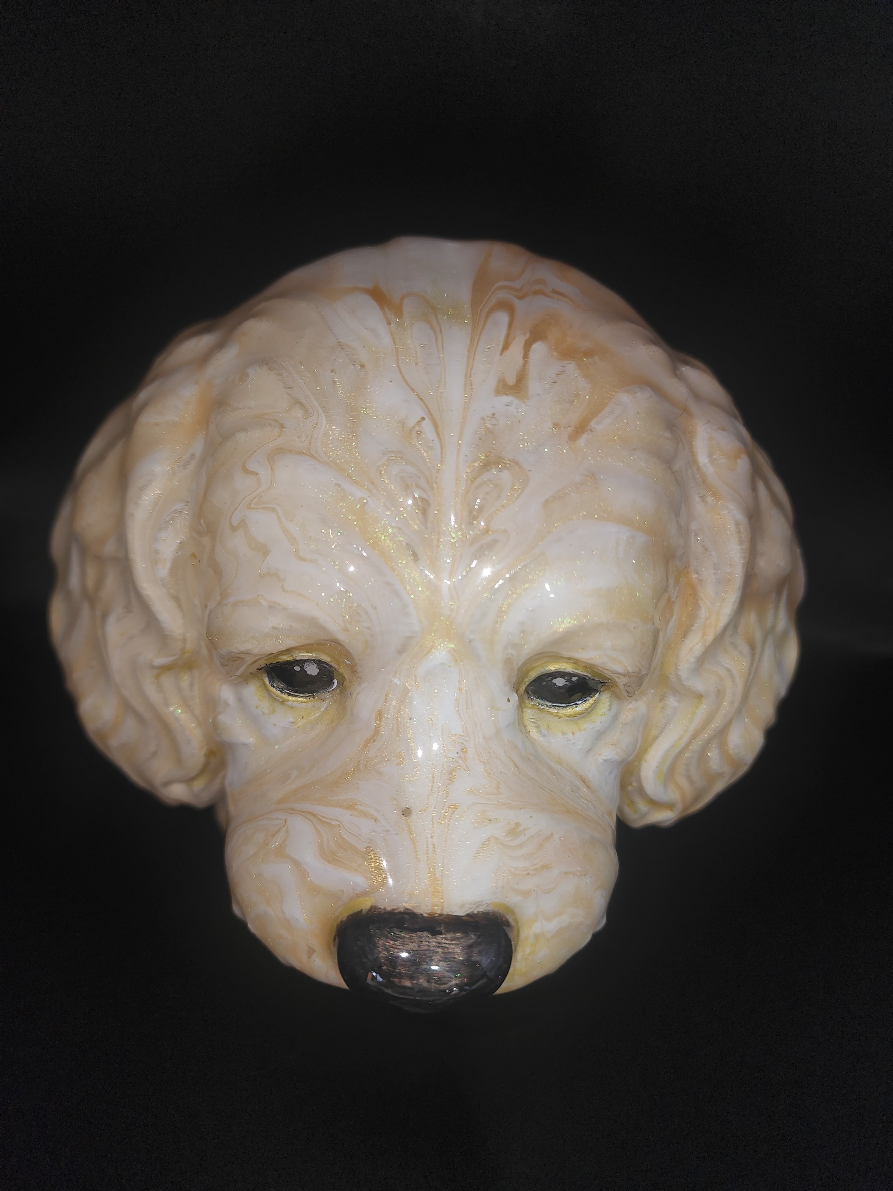 Cavapoo resin finish