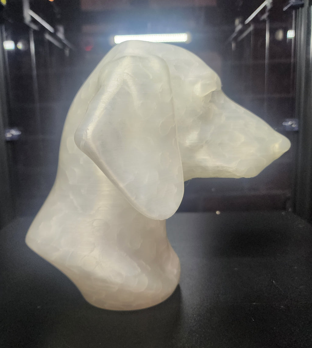 Dashhound