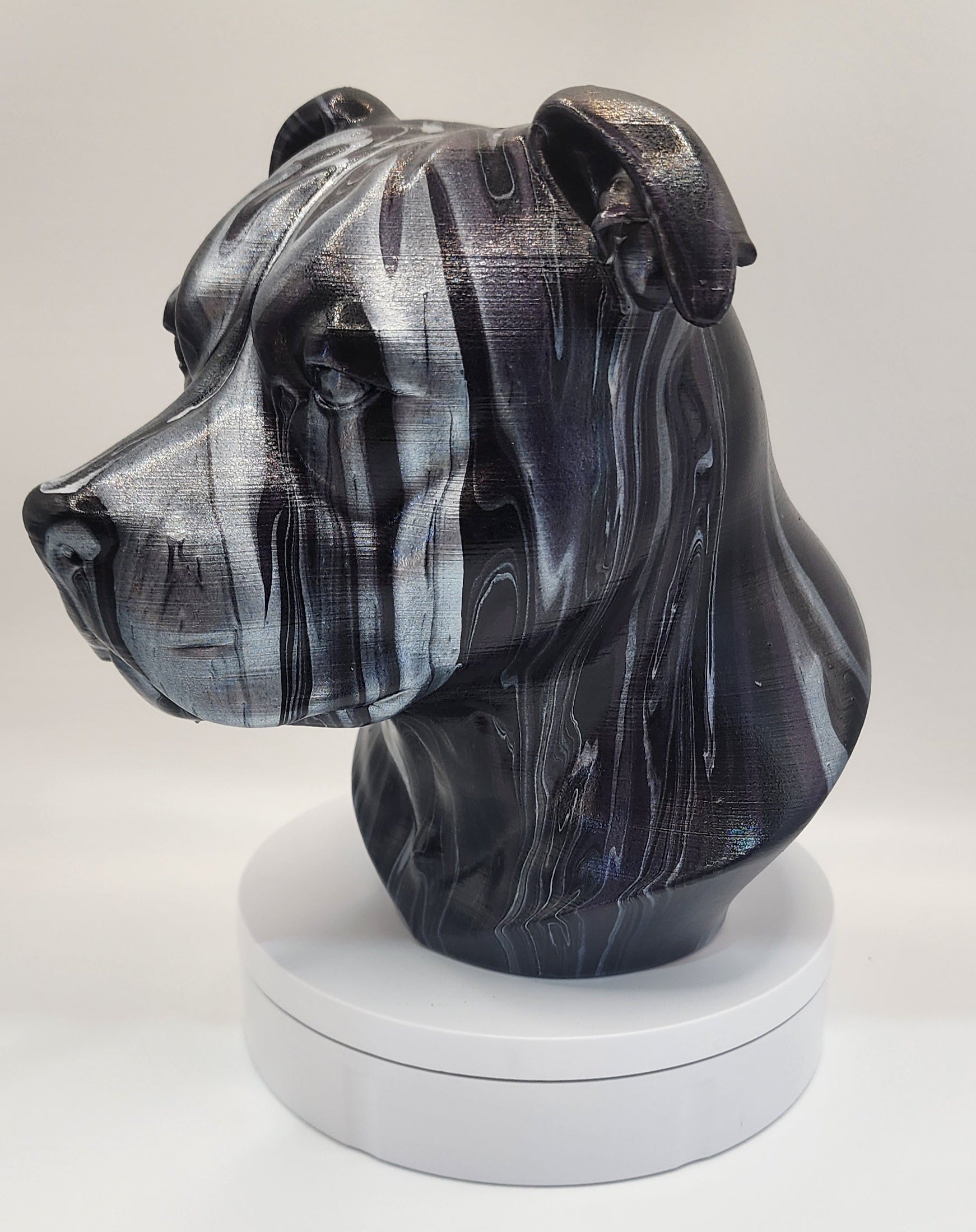 Staffy gloss varnish finish