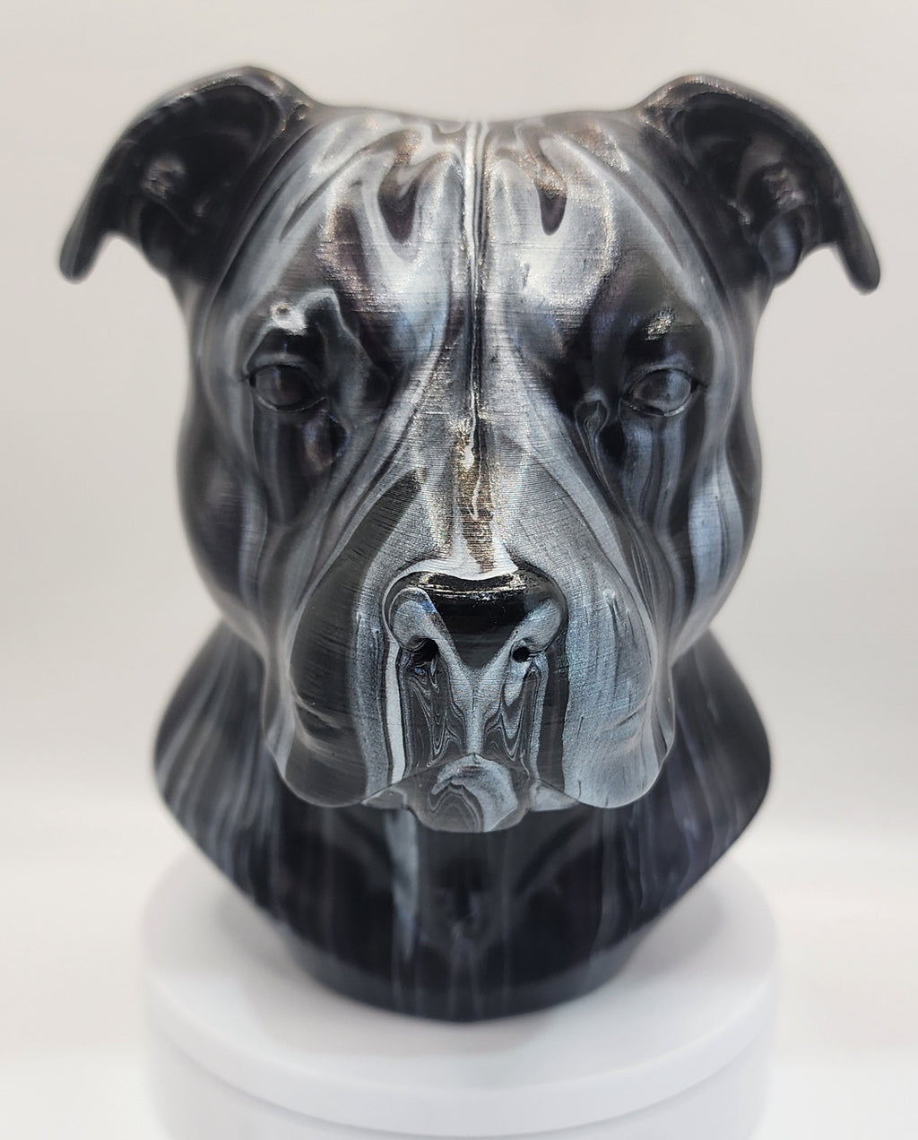 Staffy gloss varnish finish