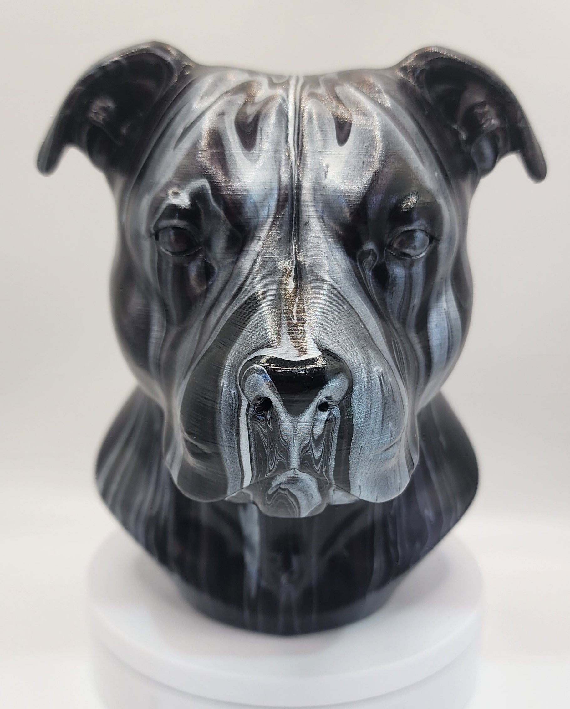 Staffy gloss varnish finish