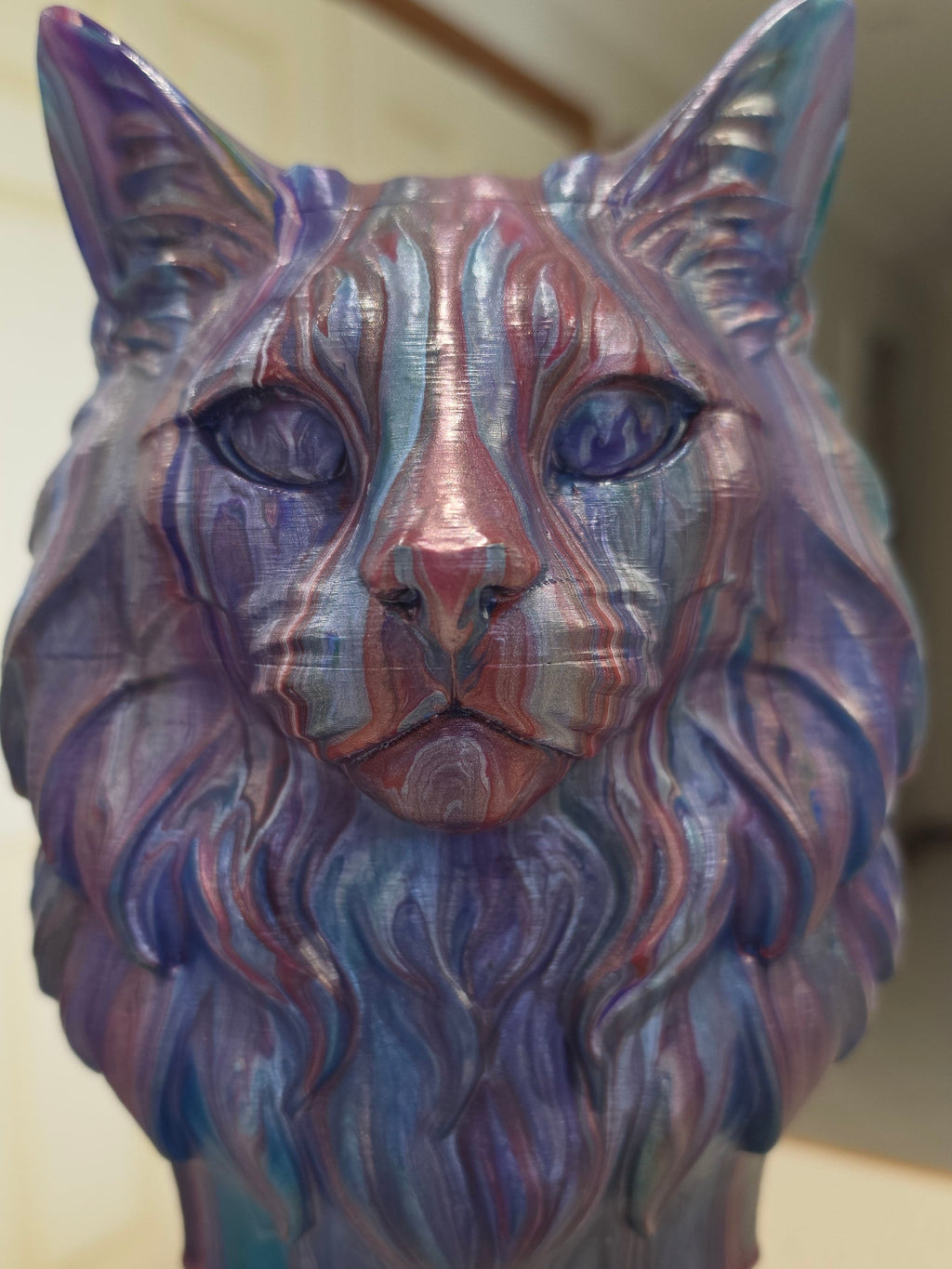 Long haired cat