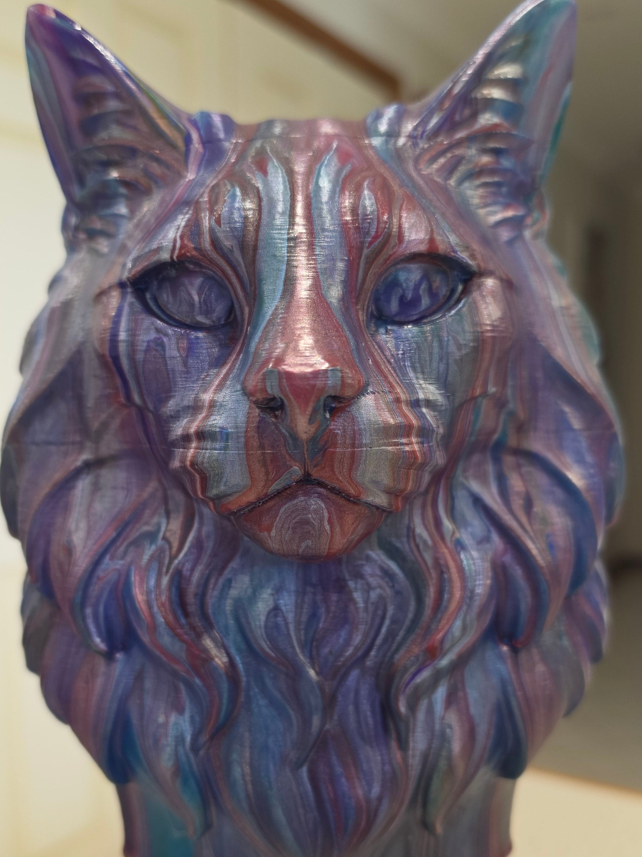 Long haired cat
