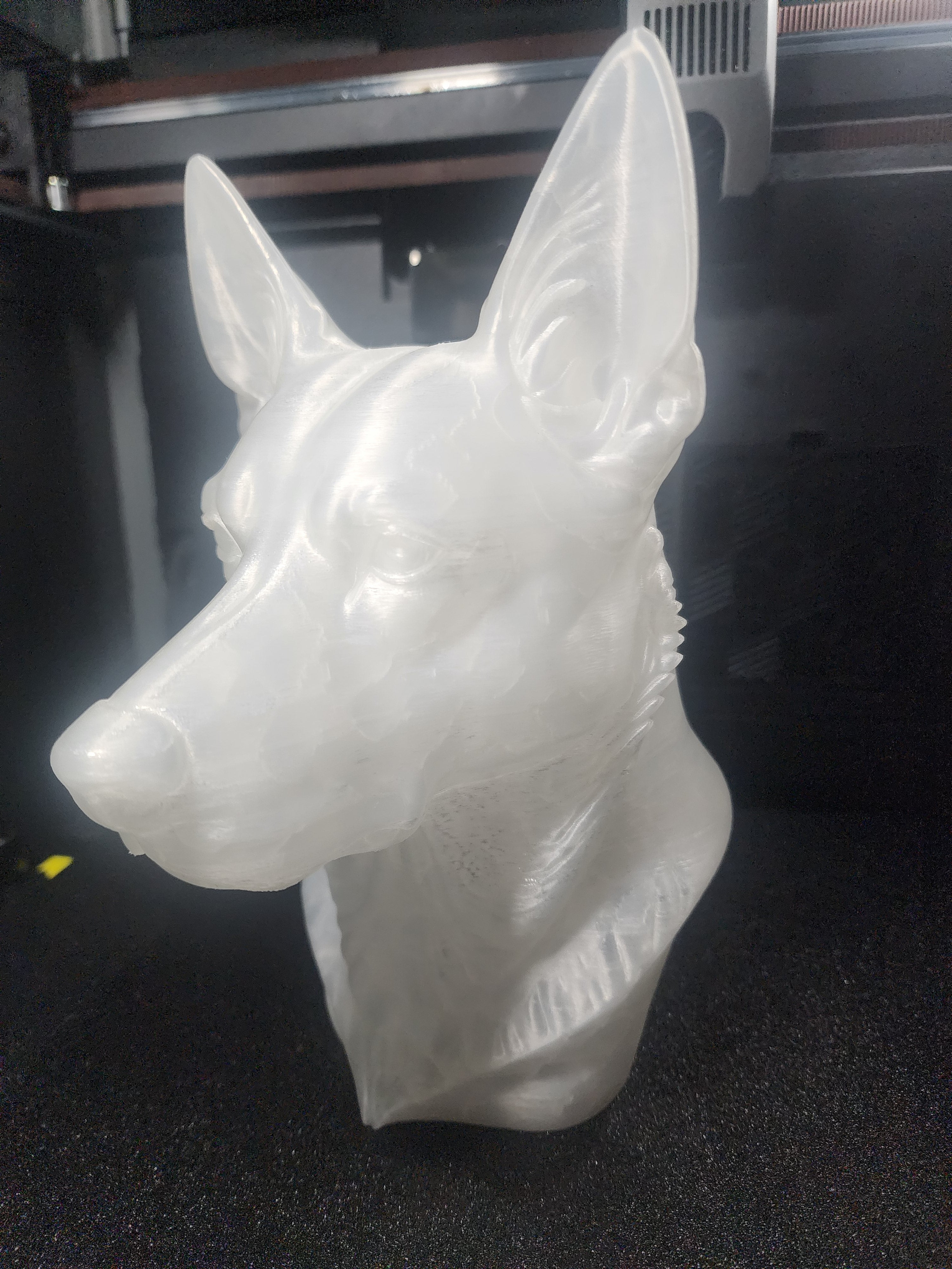 Kelpie