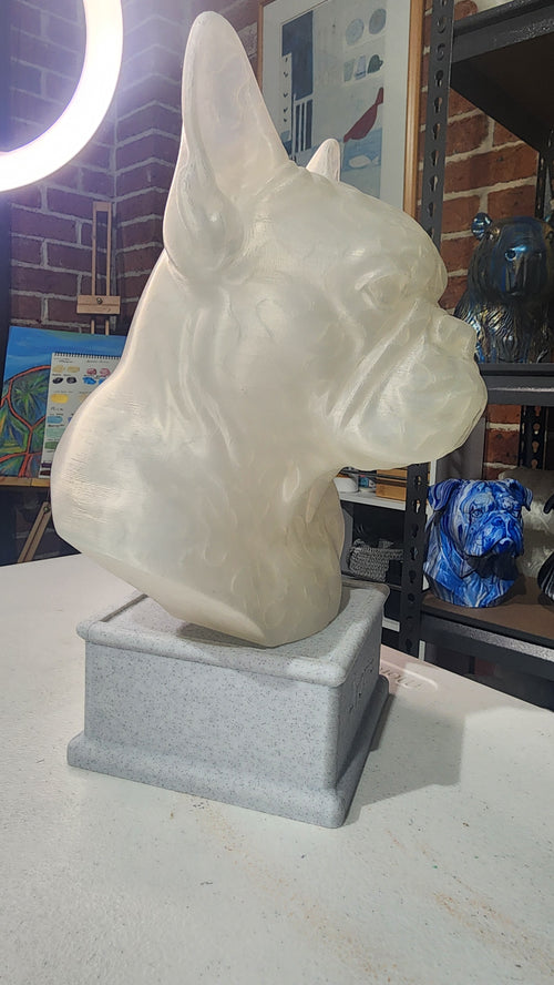 Archies Memorial box