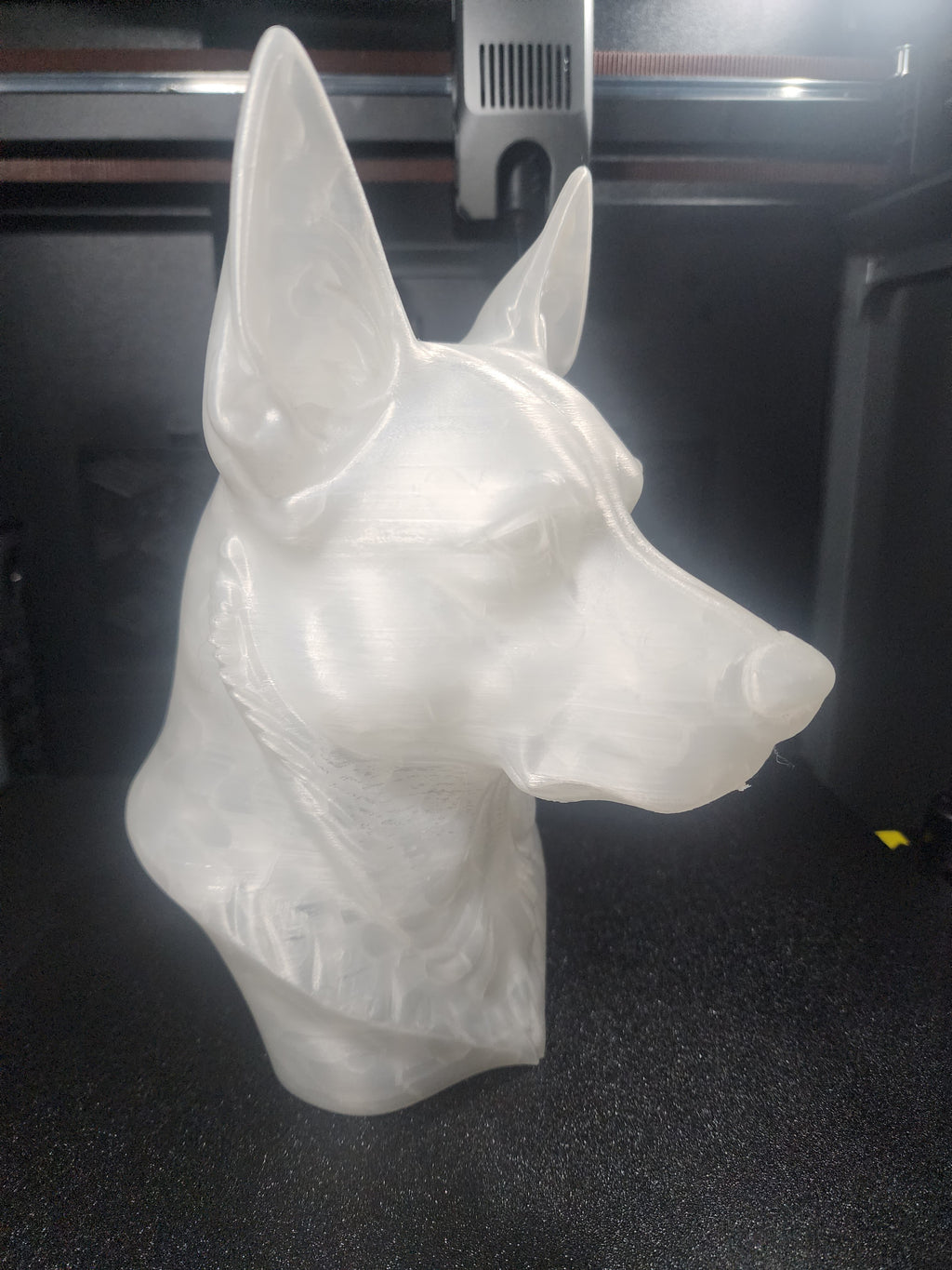 Kelpie