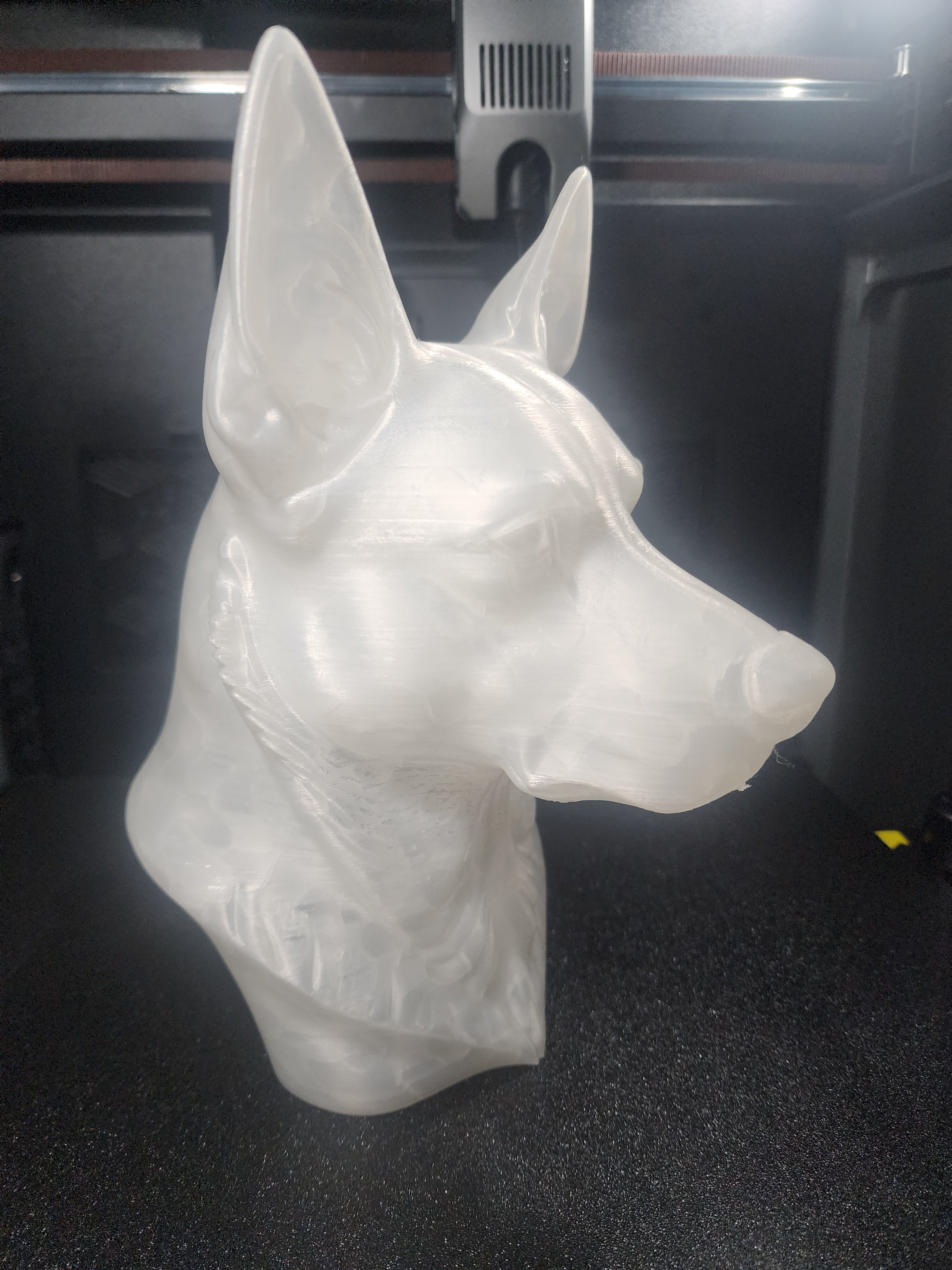 Kelpie