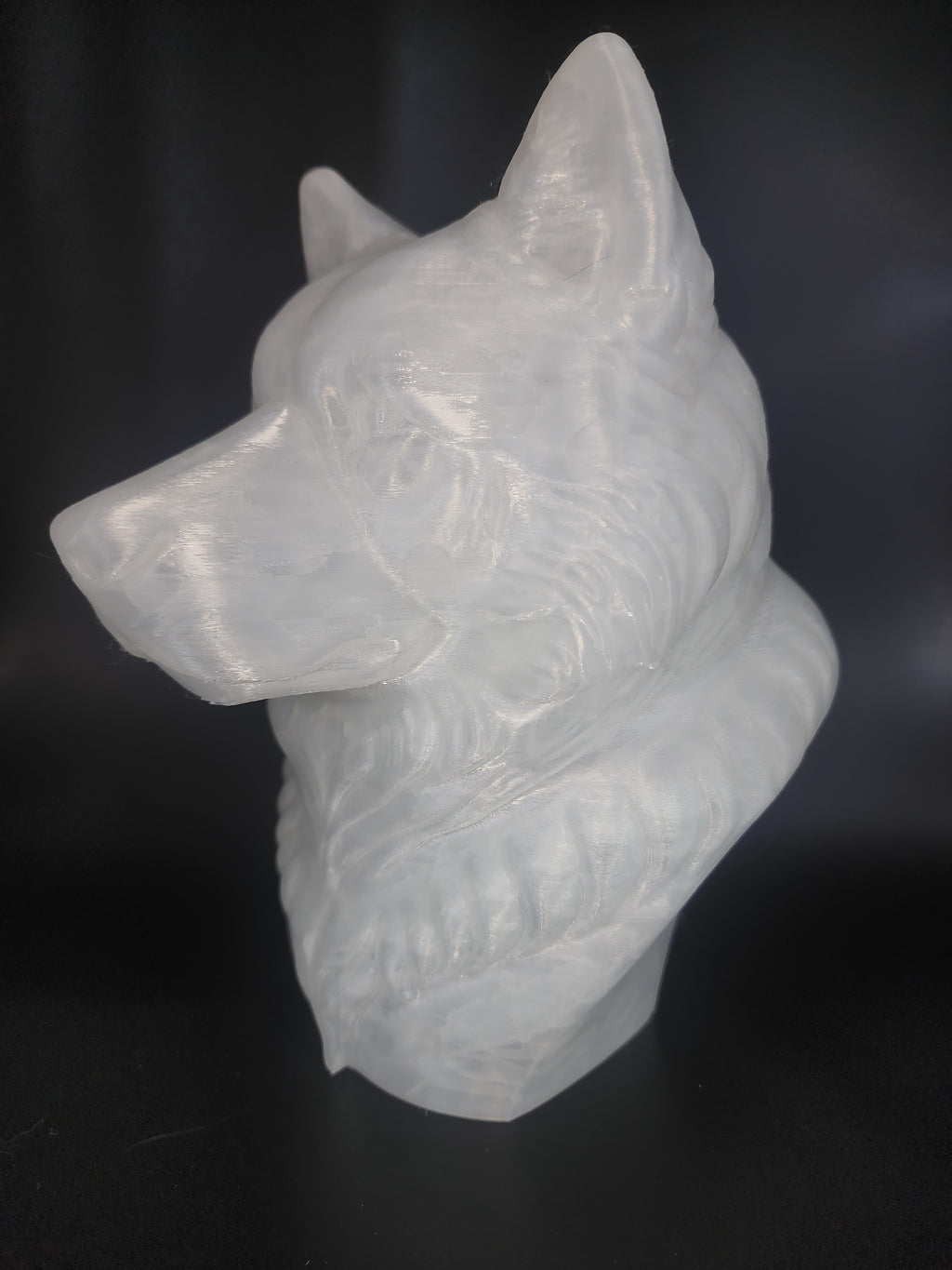 Malamute