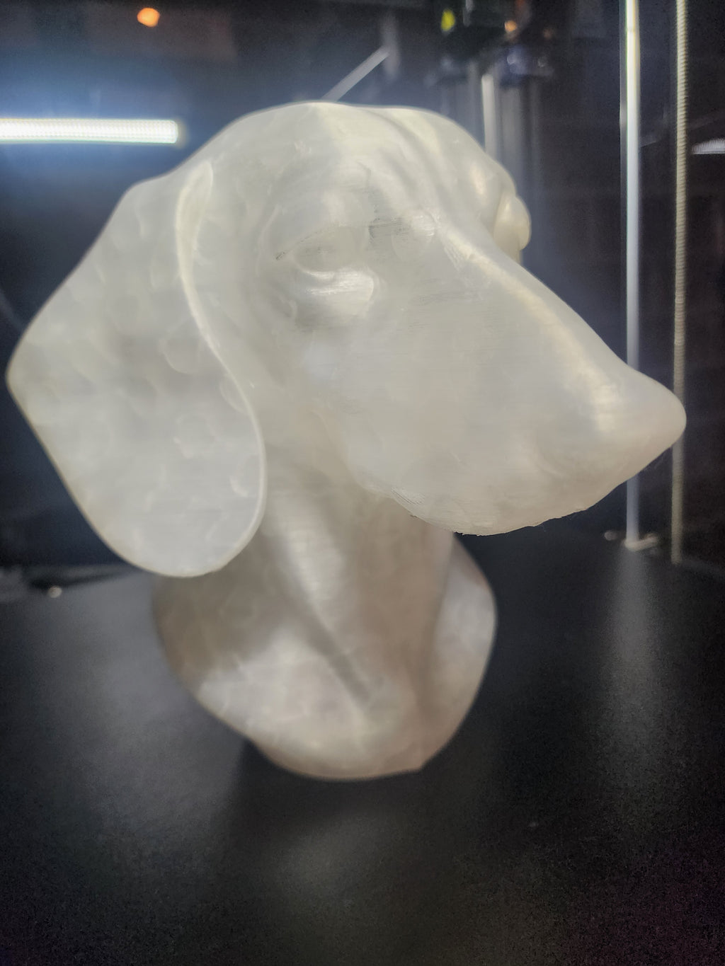 Dashhound