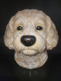 Cavapoo resin finish