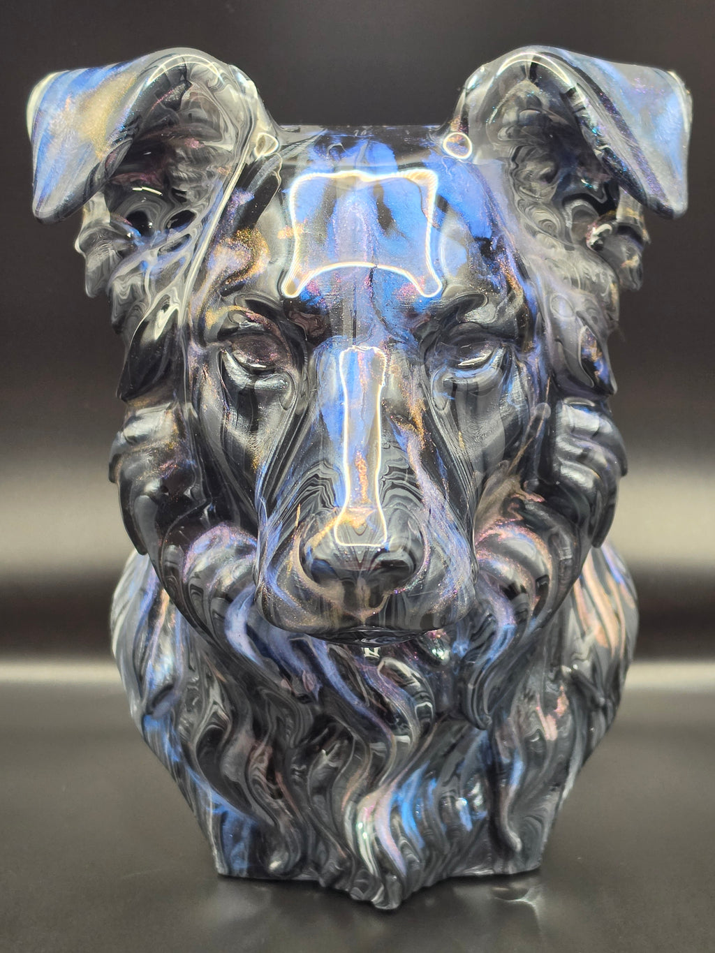 Border Collie grey/blue