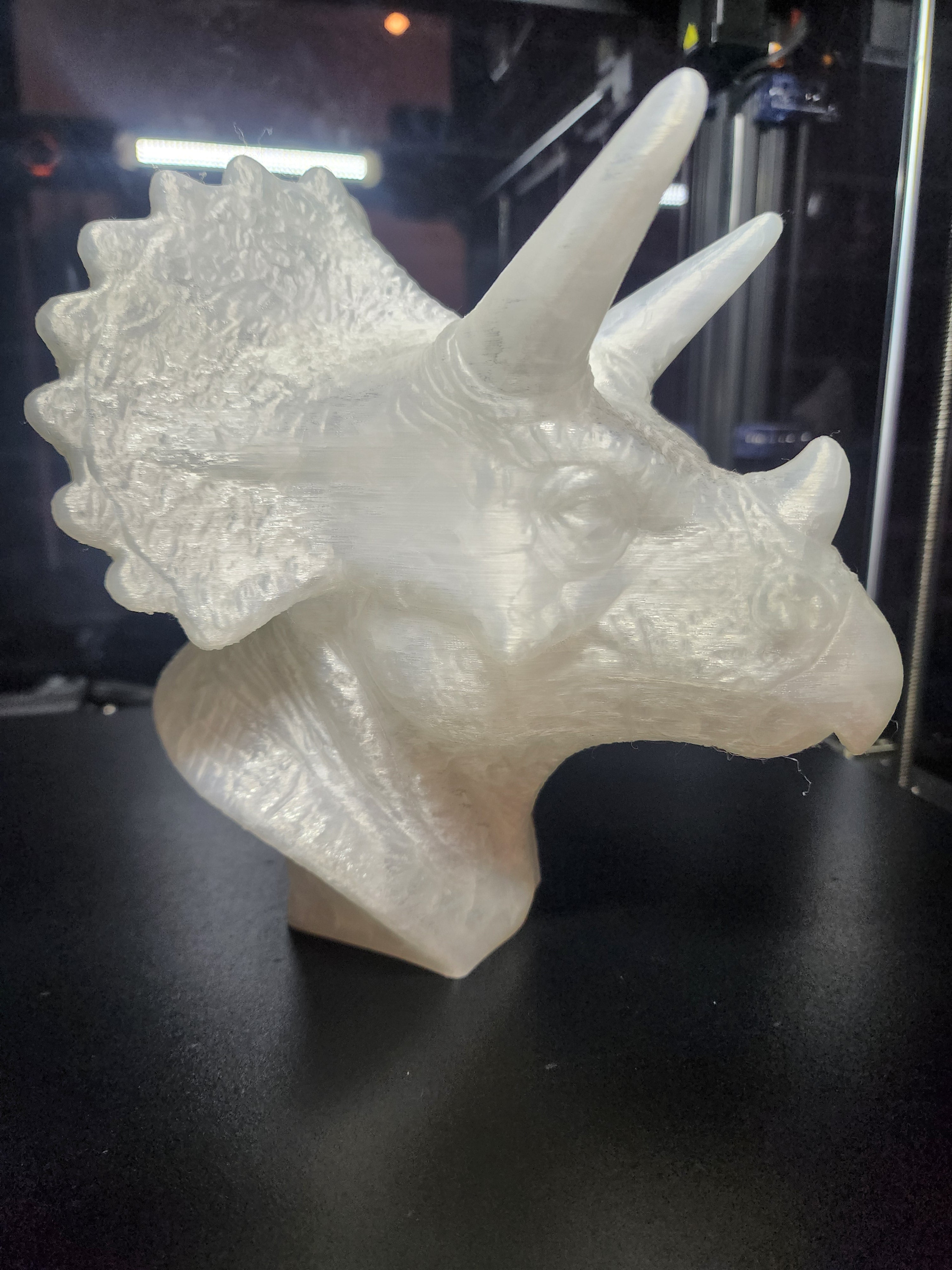 Dinosaur Triceratops