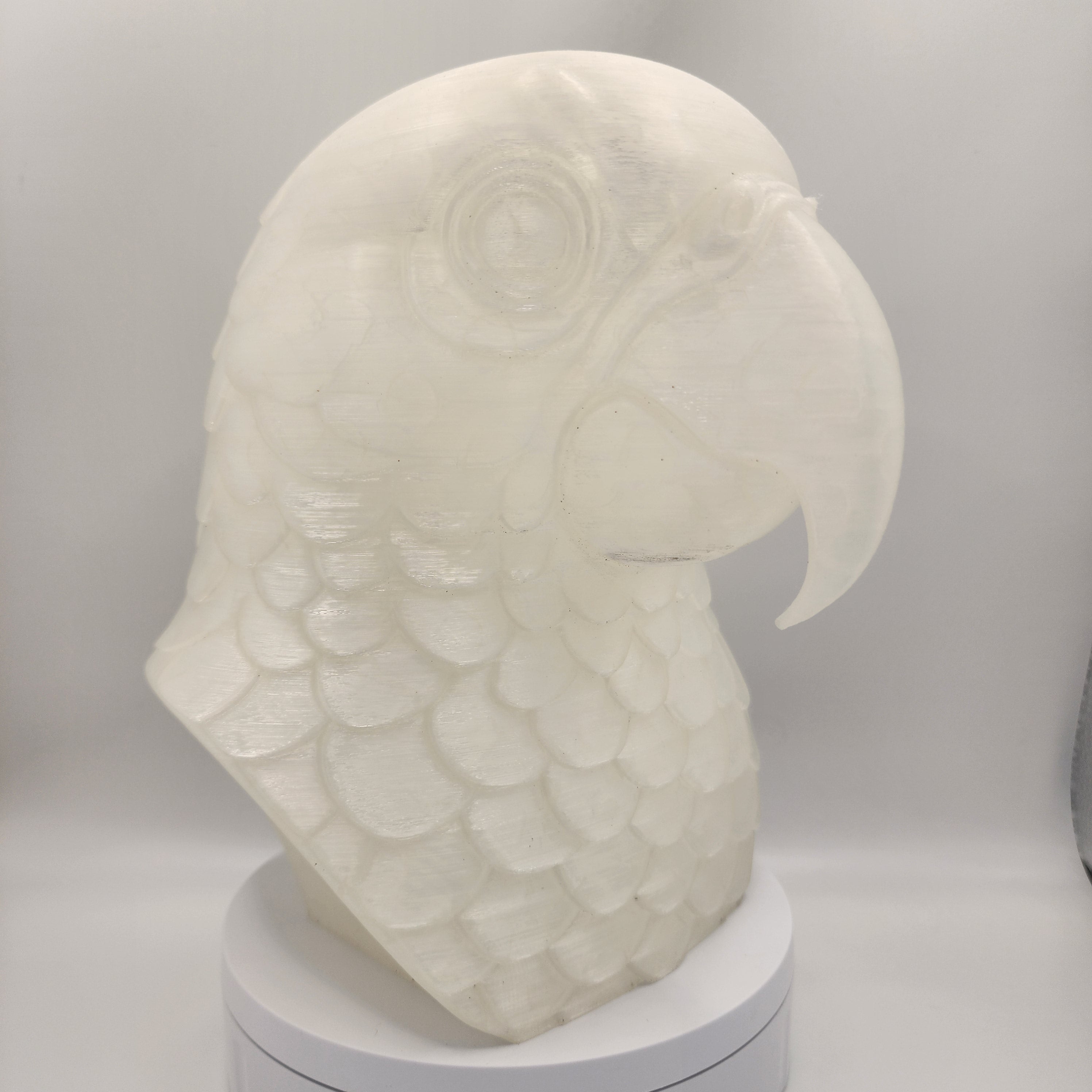Parrot