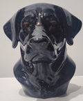 Labrador