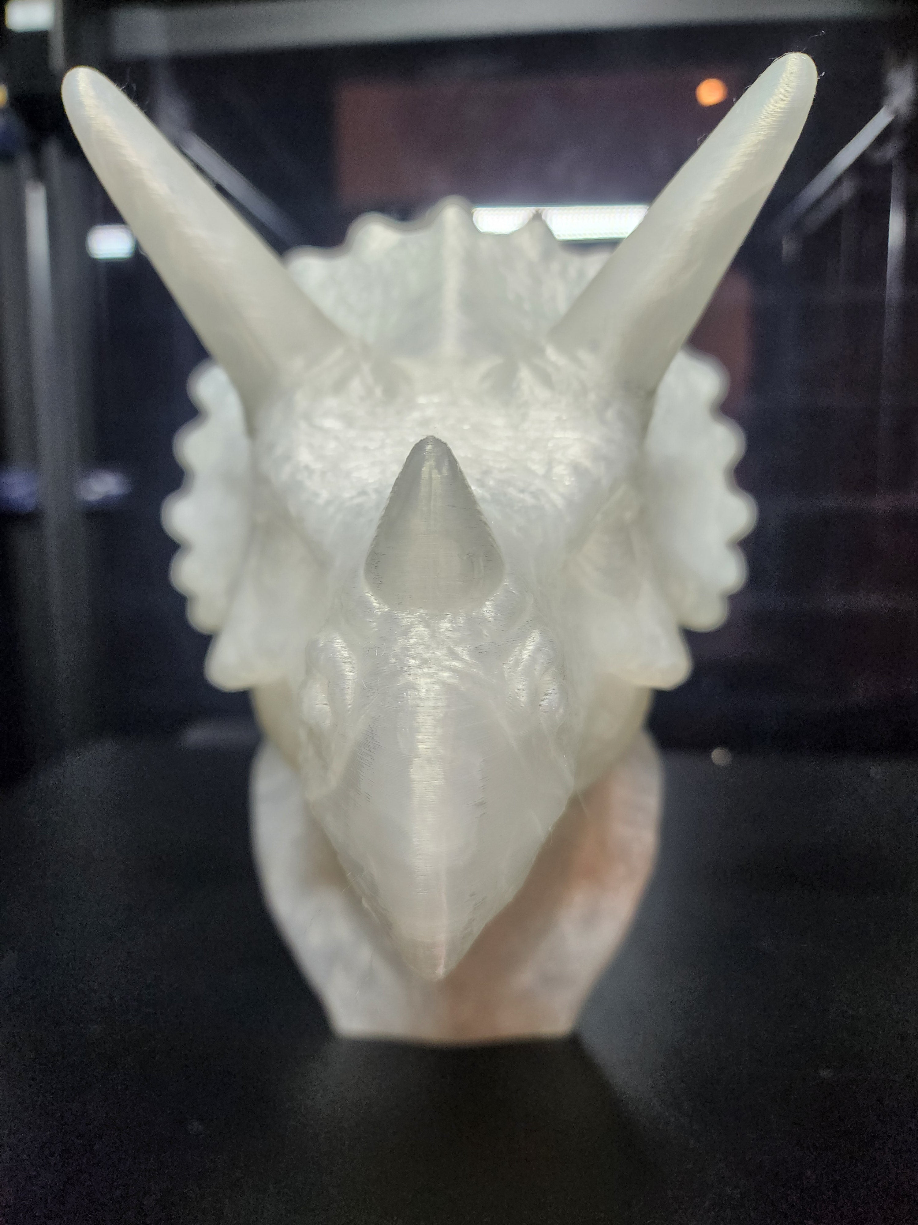 Dinosaur Triceratops