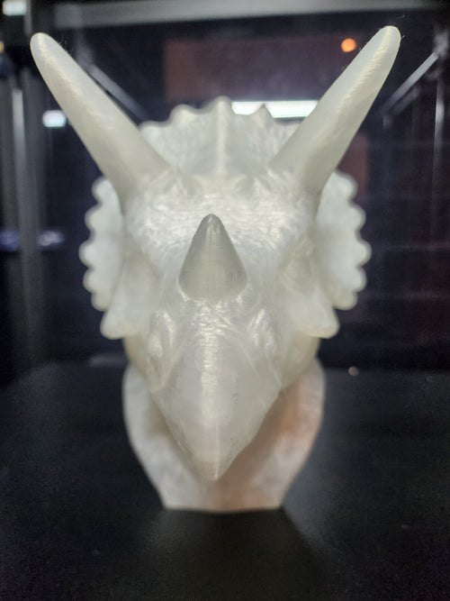 Dinosaur Triceratops