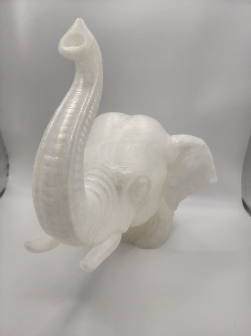 Asian Elephant