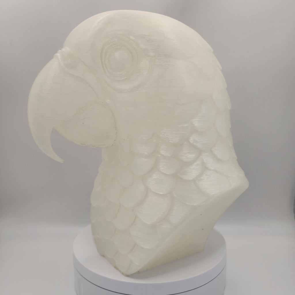 Parrot
