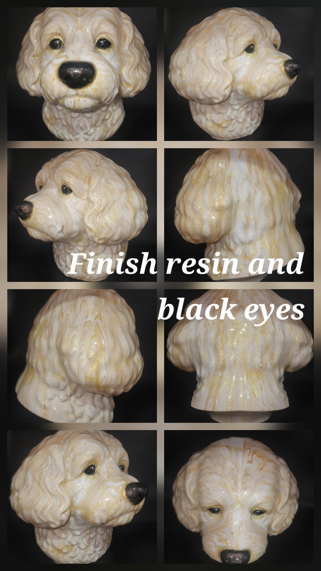 Cavapoo resin finish