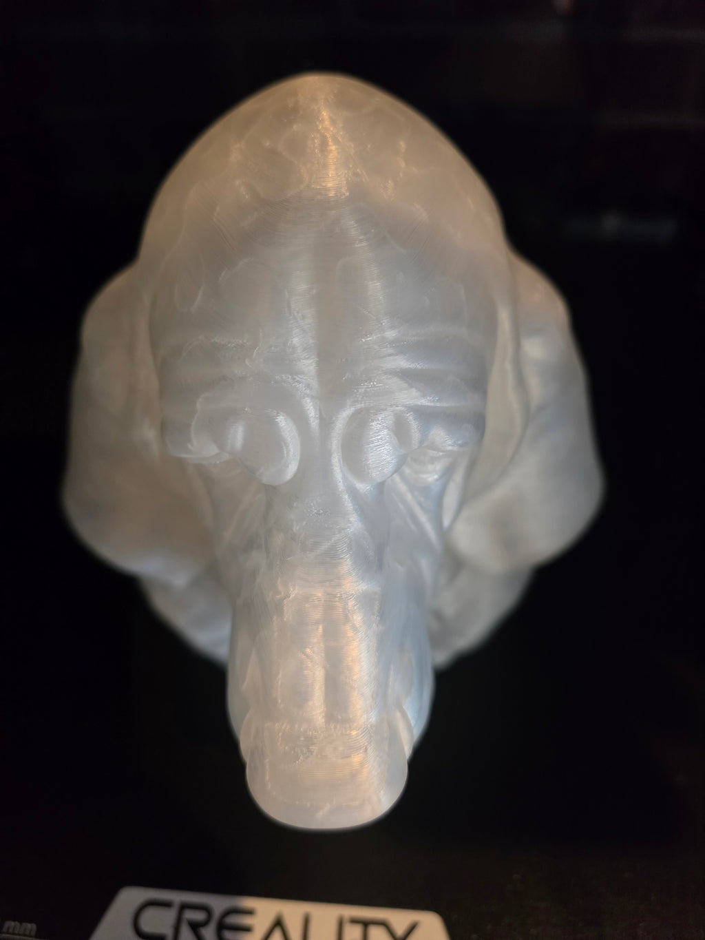 Bloodhound
