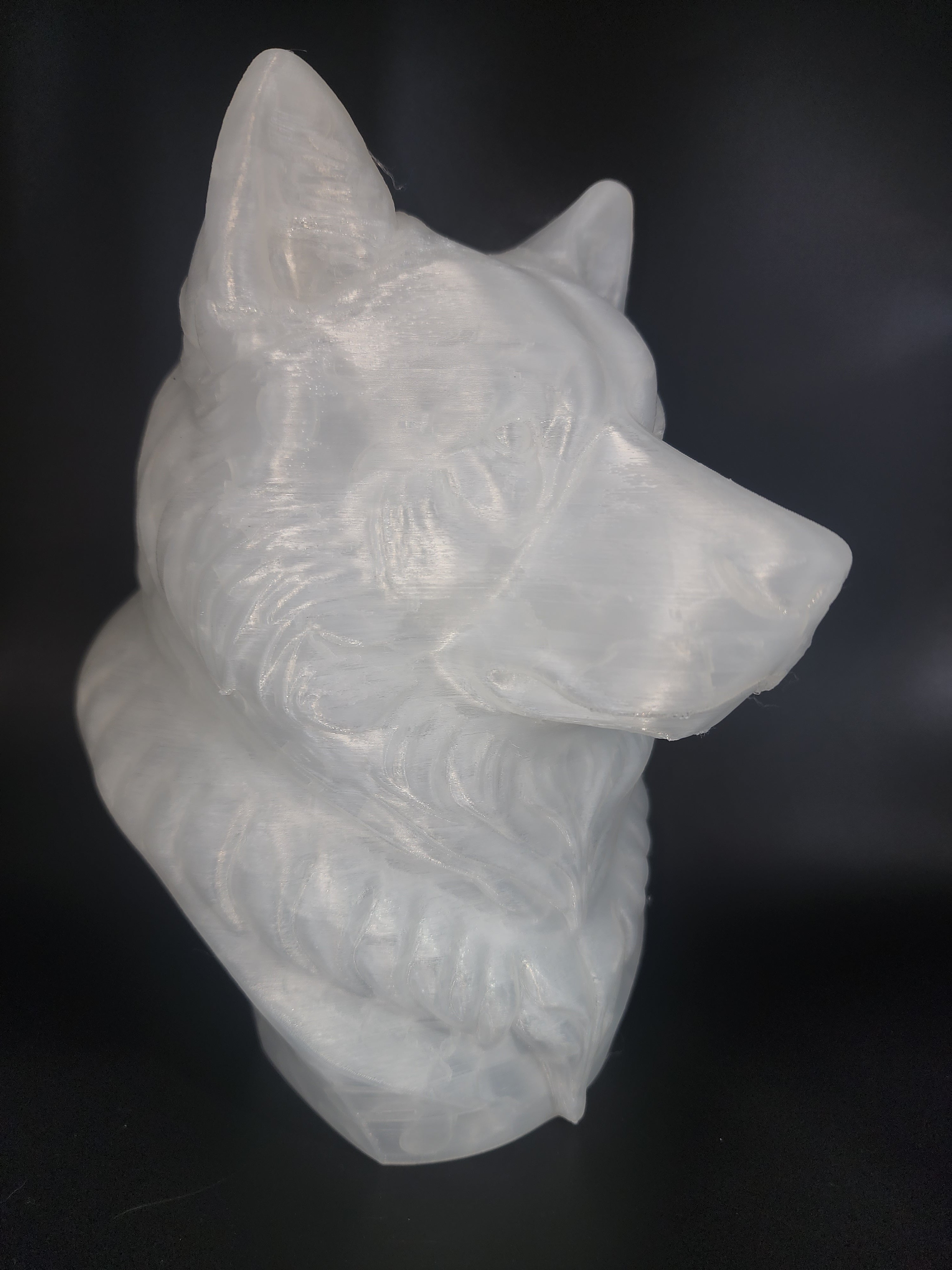 Malamute