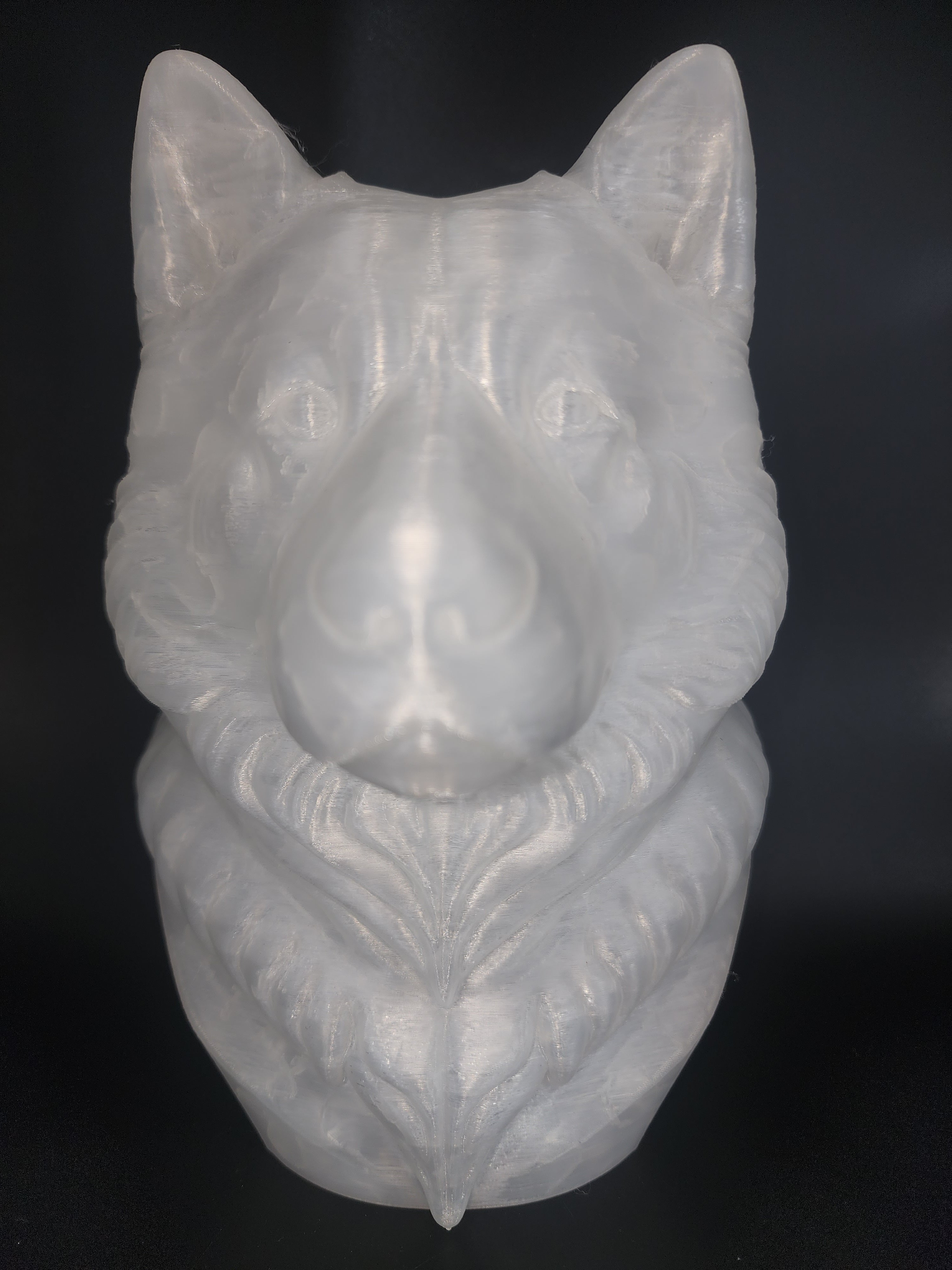 Malamute