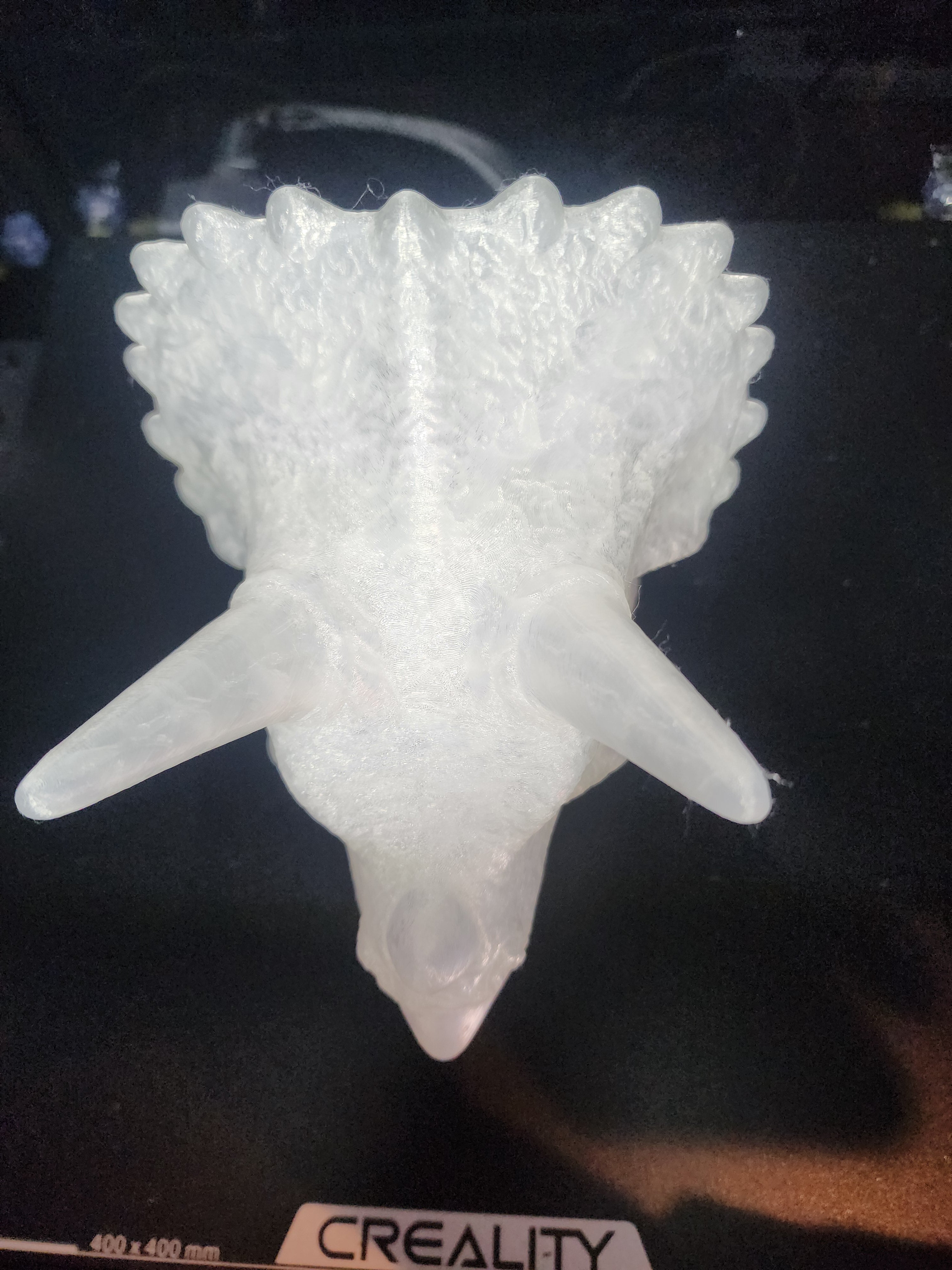 Dinosaur Triceratops