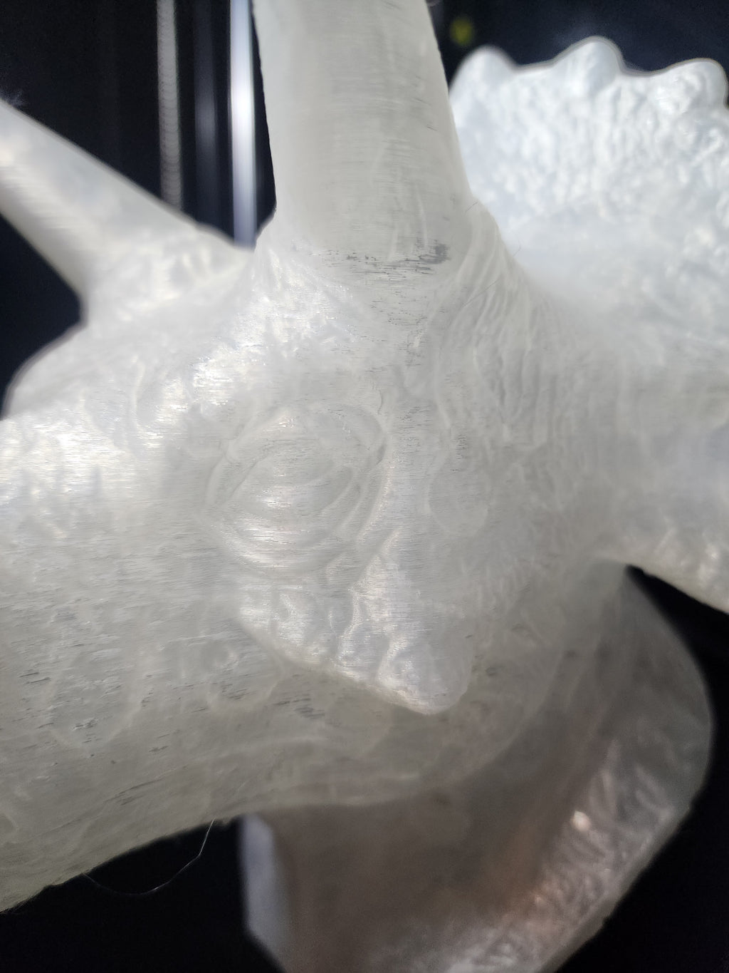 Dinosaur Triceratops