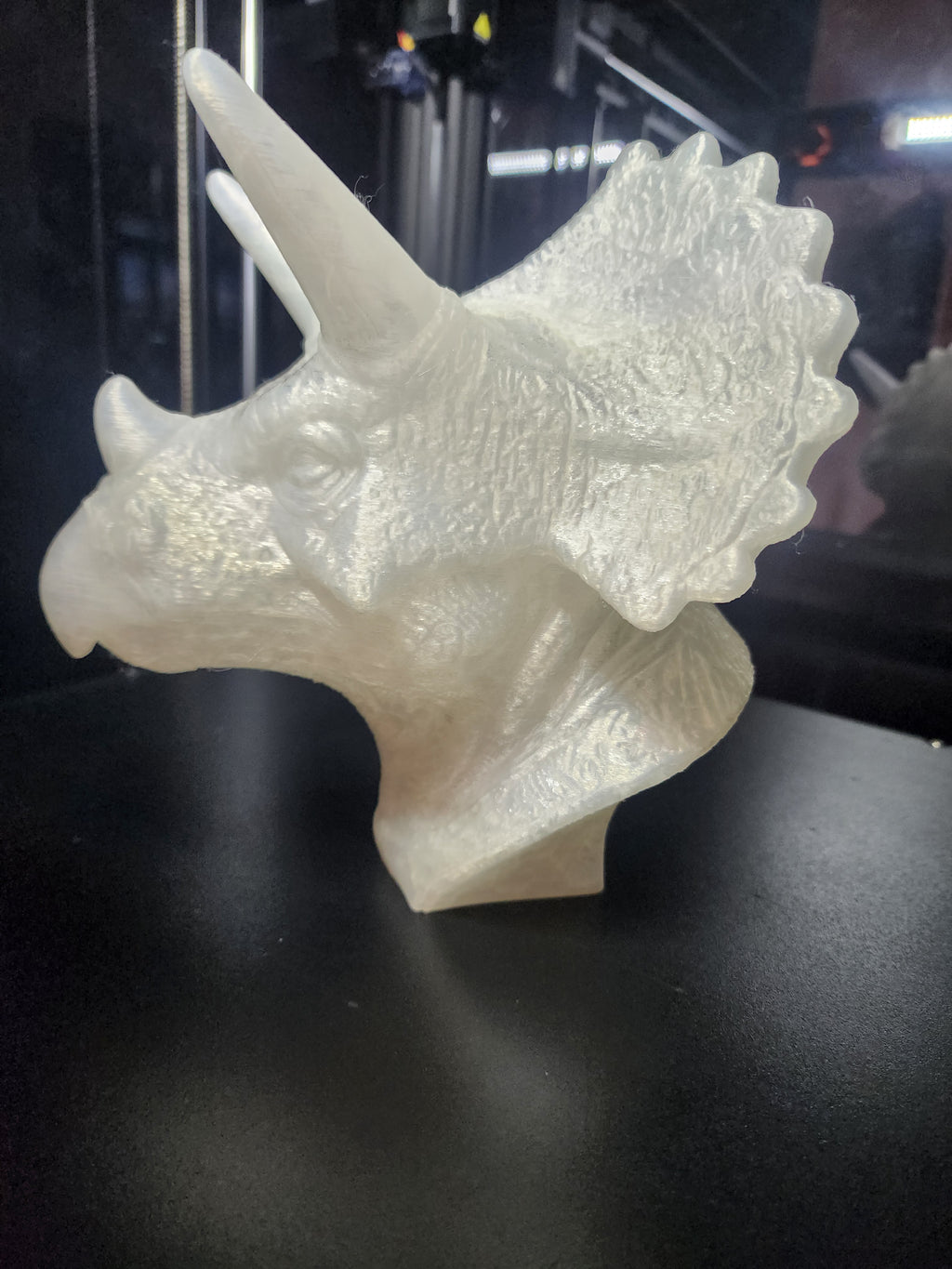 Dinosaur Triceratops