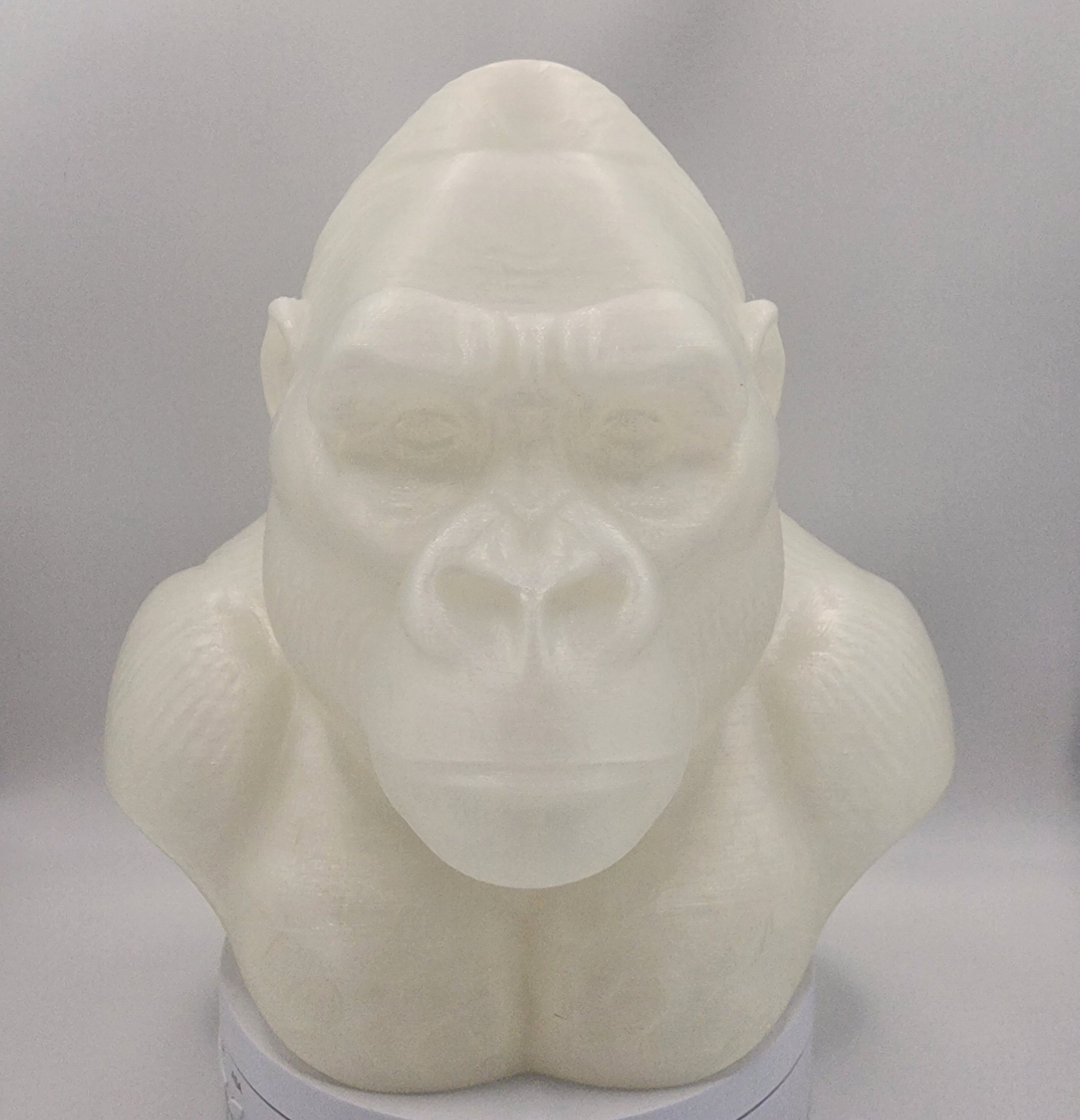 Gorilla